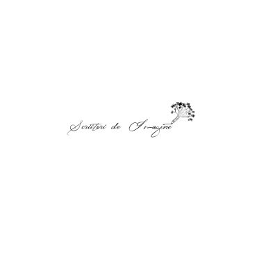 ScriitoriDeImagine