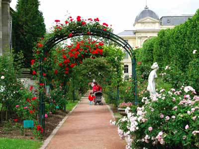 Zl Paysage