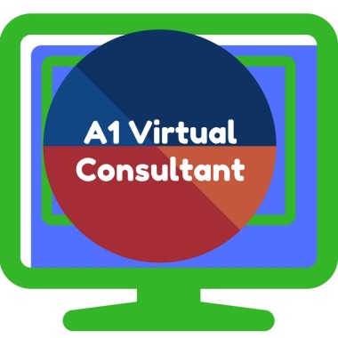 A1 Virtual Consultant