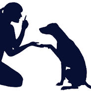Ambé'canin