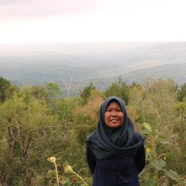 Rifa
