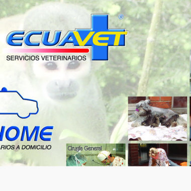 Ecuavet, Servicios veterinarios
