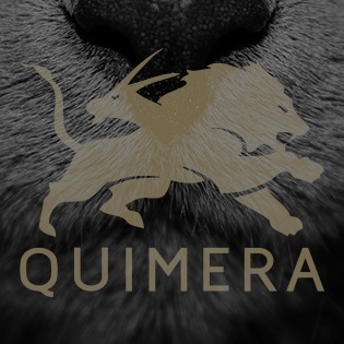 Quimera - Brand Management