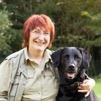 Hundeschule Amperland