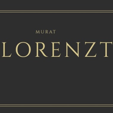 Lorenzt  Elektrik&Elektronik güvenlik sistemleri