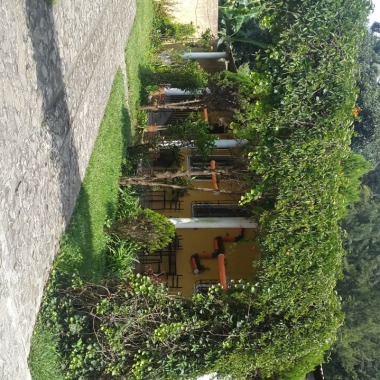 Mi Spa