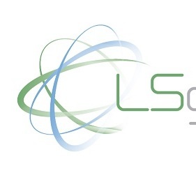 LS Gestão