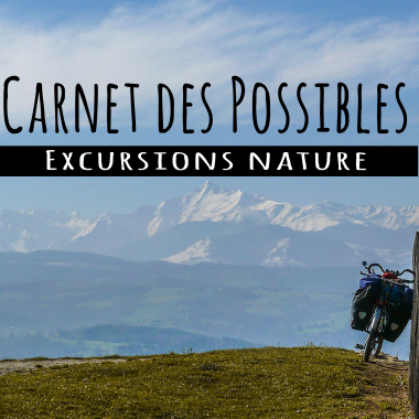 Carnet des possibles