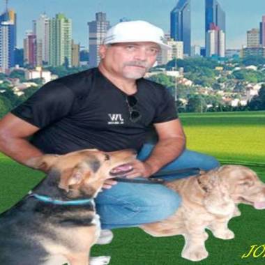 Jw terapeuta de cães