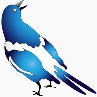 Blue Kite Events And Promotions