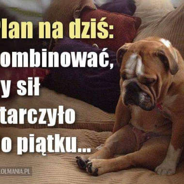Forma