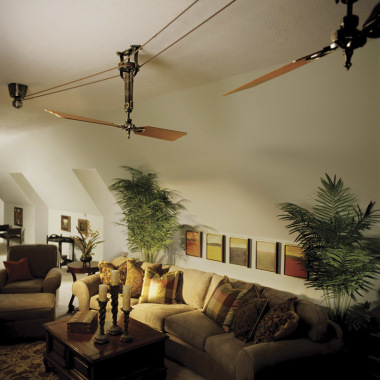 Mollucas Design