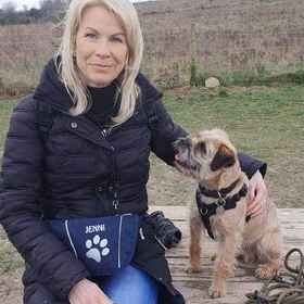 Salisbury dog trainers