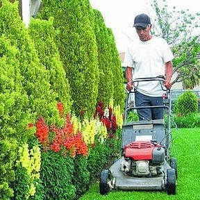 Jardines Ortiz
