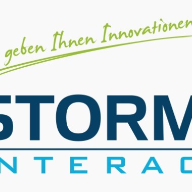 Stormcat Interactive, Martin Willert