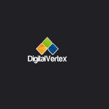 Digital Vertex - Website Designer Los Angeles