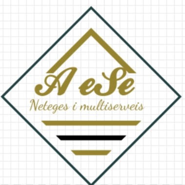 A ESE Neteges i Multiserveis