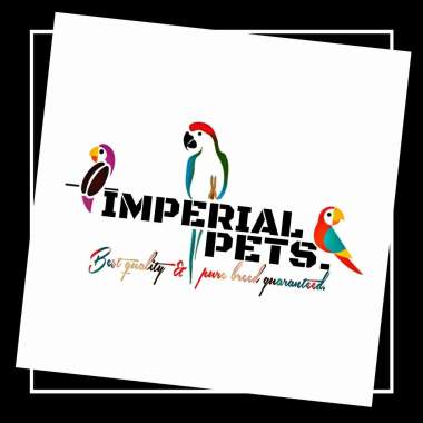 Imperial Pets
