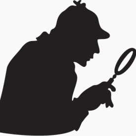 Detective Particular
