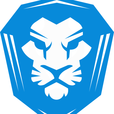 LINKLÖWE Online Marketing & Webdesign