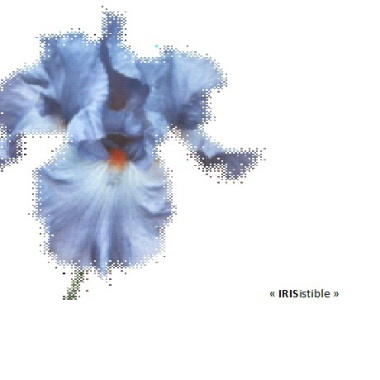 "IRISistible" Esthétique