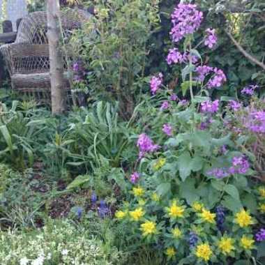 Gartenfee Madeleine