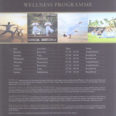 Enegy Yoga Bali - Surya Candra Buana