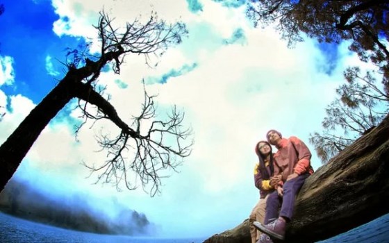 Alwan Tafsiri Photography