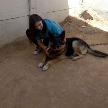 Veterinario a Domicilio Pamela Oyarzún