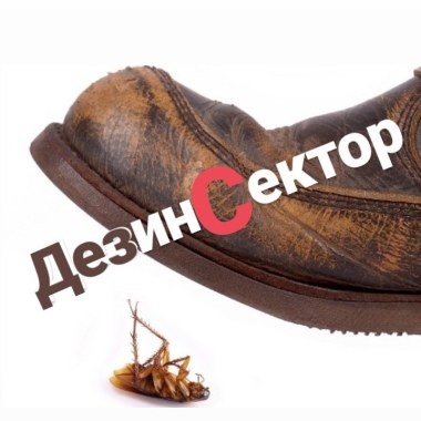 ДезинСектор