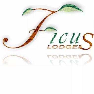 Ficus lodge