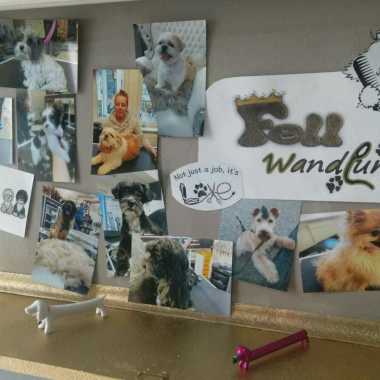 FellArtig