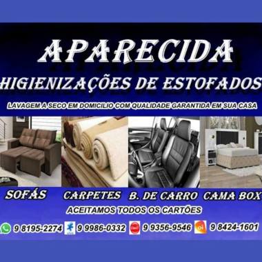Aparecida Higienizações
