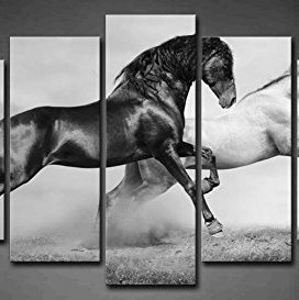 Fotografia Artistica