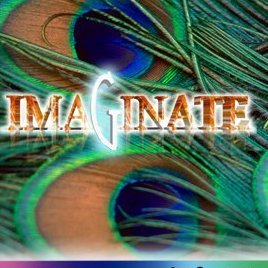 Imaginate S.R.L.