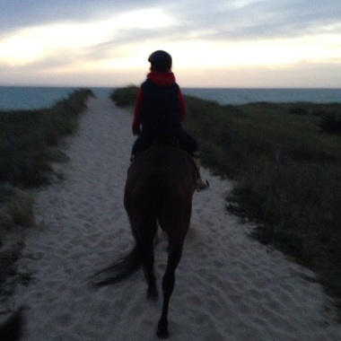 Centre Equestre De Cours Les Barres