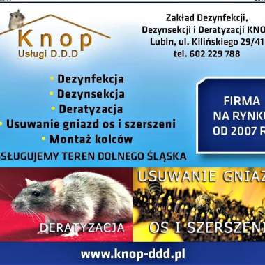 Usługi Dezynfekcja, dezynsekcja, deratyzacja