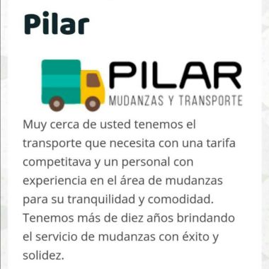 Mudanzas y acarreo transporte pilar