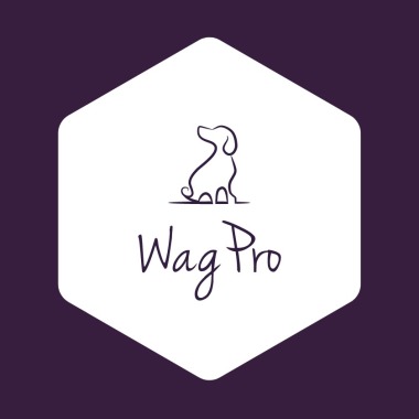 WagPro Dog Training