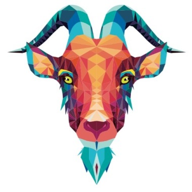 Mozo design