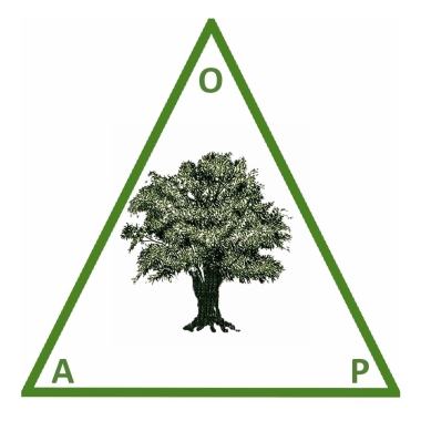 Oliveira Associate Partners