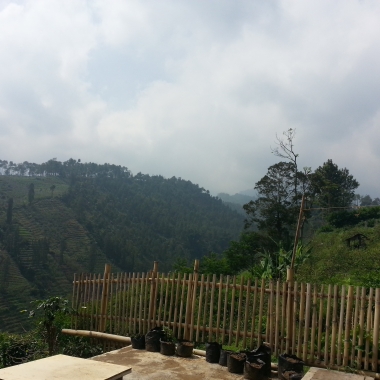ADI JAYA UTAMA, CV