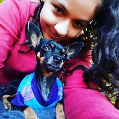 Paseo y adiestramiento para mascotas