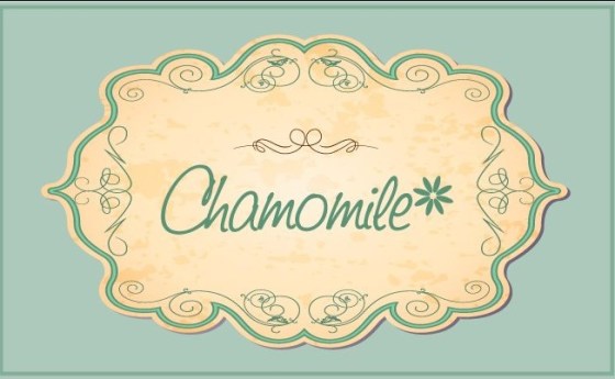 Chamomile Invites & Packaging