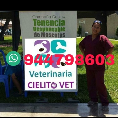Veterinaria Cielito