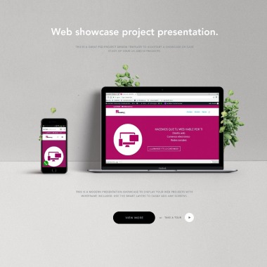 Amusinvi Agency