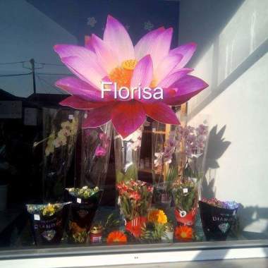 Florista Florisa