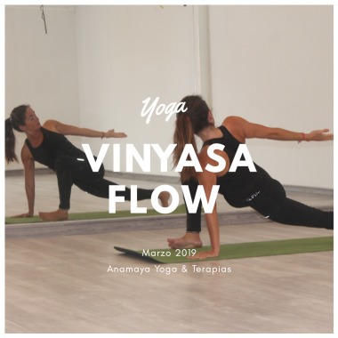 Yoga Vinyasa Flow La Serena