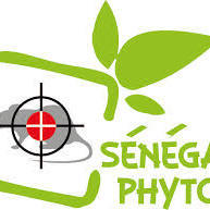 Senegal Phyto
