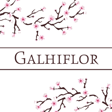Florista Galhiflor
